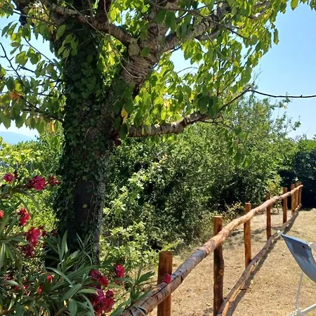 Ferienhaus Casa Flora