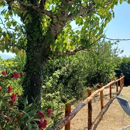 Casa Flora Casa vacanze Monteverdi Marittimo