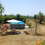 Holiday home Casa Flora Monteverdi Marittimo